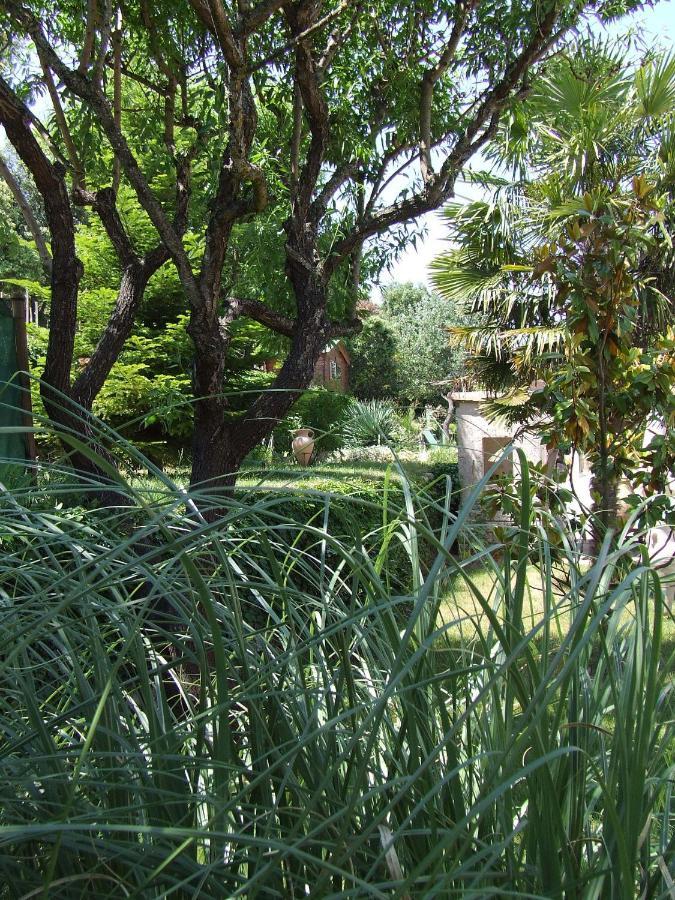 Bed and Breakfast Lou Pin Dou Papet Roquevaire Номер фото